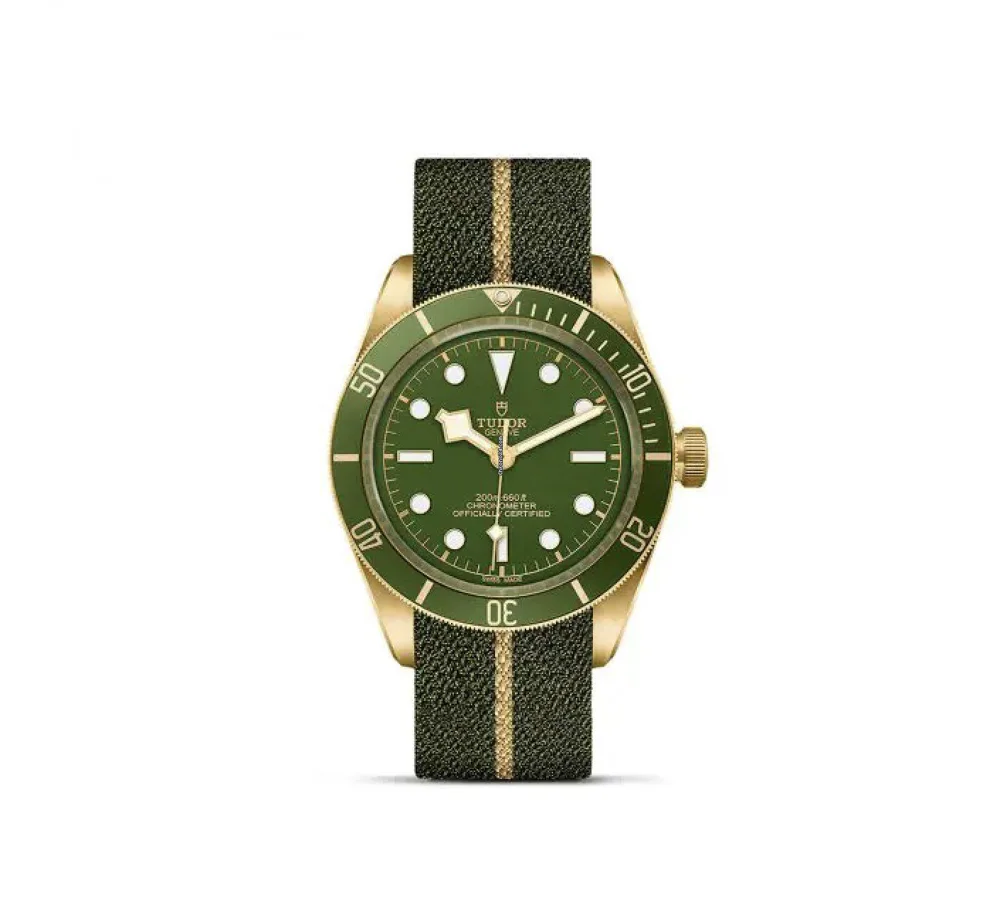 Tudor Black Bay M79018V-0001